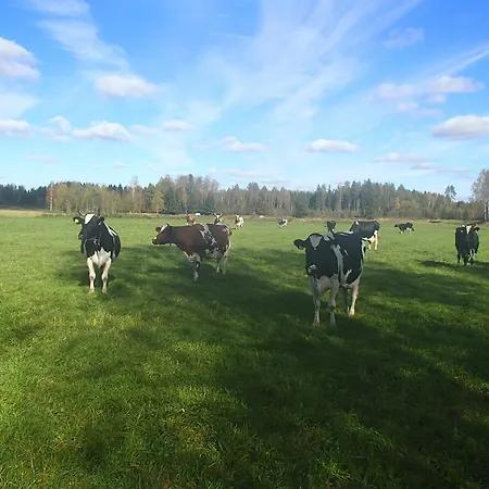 Maatilamatkailu Peraekangas Farm stay